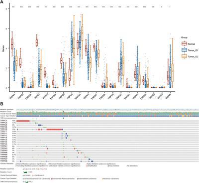 Role of TRPV1 ion channel in cervical squamous cell carcinoma genesis